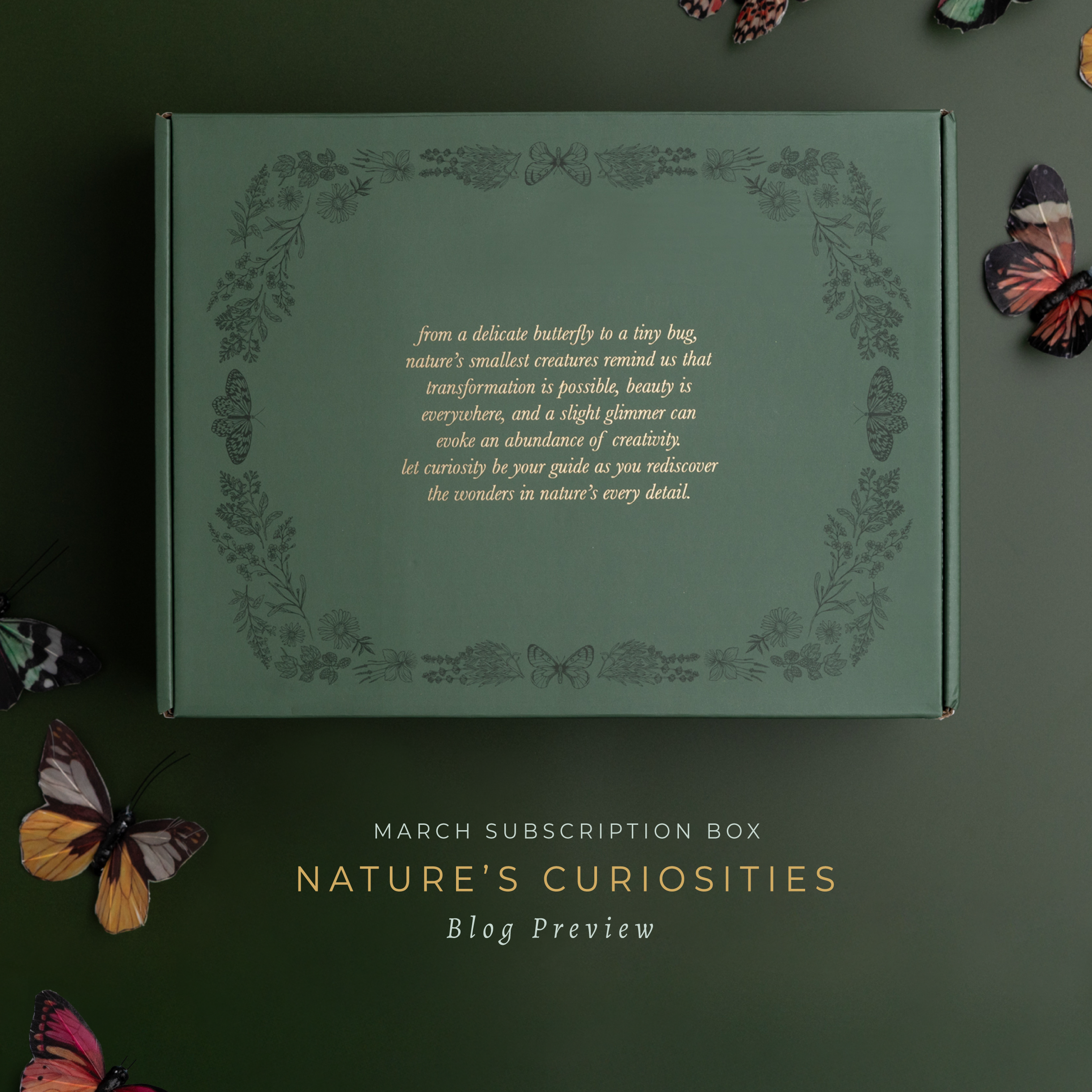 SPOILER ALERT! First Look at the March 2025 Subscription Box - Nature's Curiosities